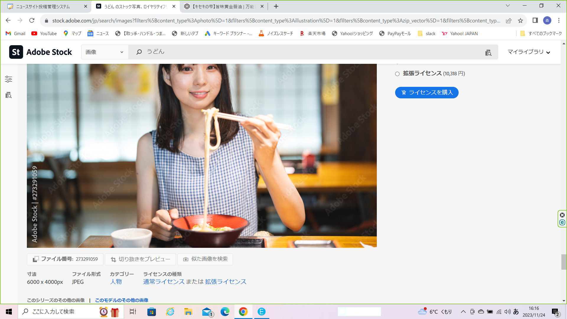 醤油うどん